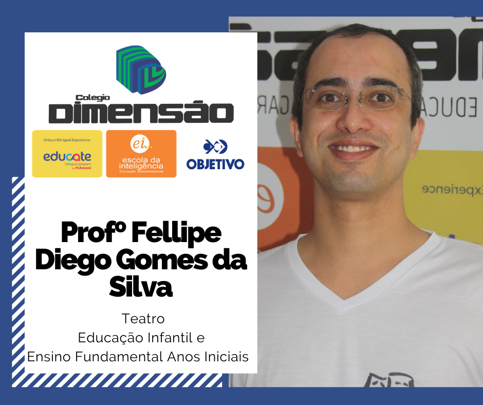 Fellipe Diego Gomes da Silva