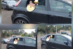 inCollage_20200709_105554824