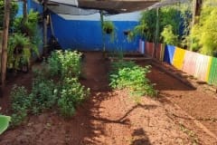 1746464496826 1746464496826